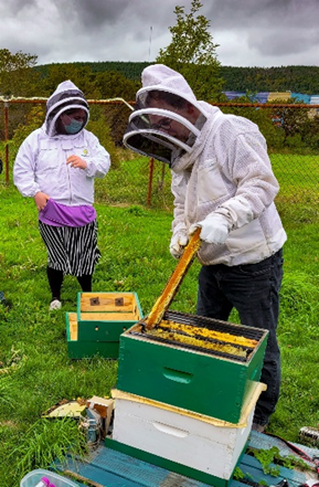 Phillip Cairns from CITL inspecting a hive with students from BIOL 3750 (Photo Credit: Dr. Chapman)